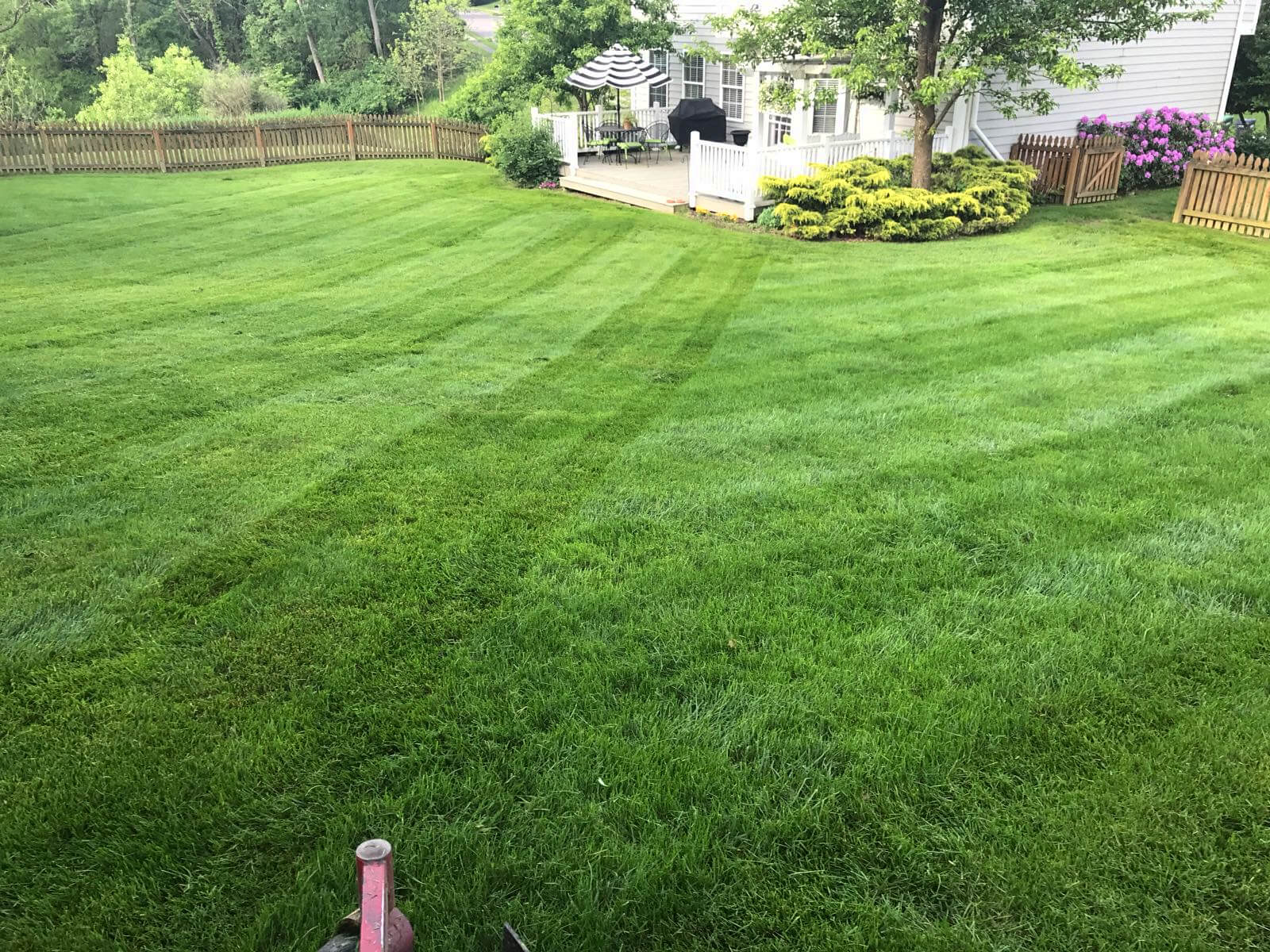 grass cutting lawn need someone service maintenance company landscape